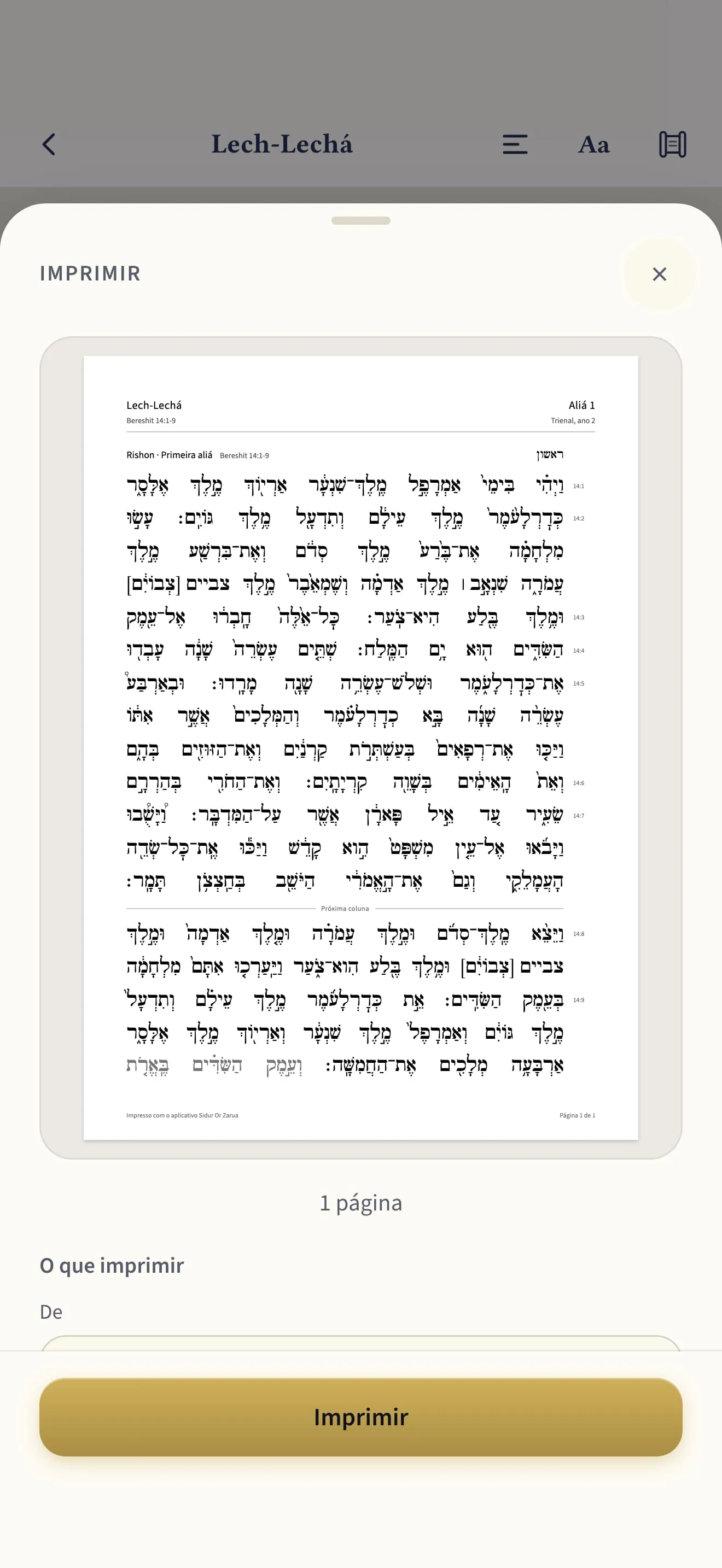 Imprimindo uma aliá pelo app