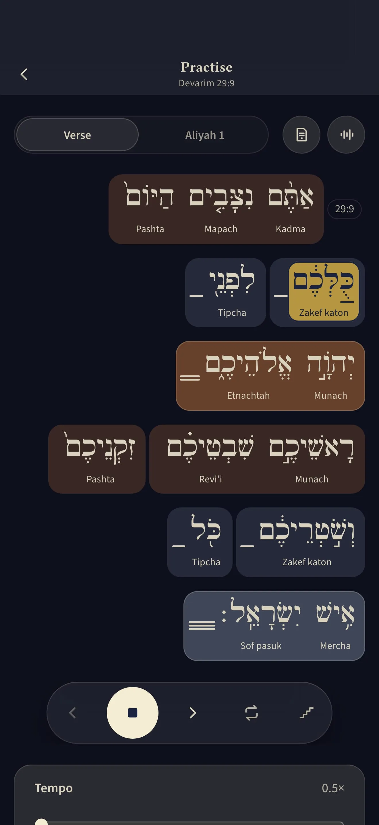 The trope trainer, following each word as it is sung